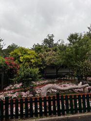-爱儿美儿童摄影亲子馆(五路居店)