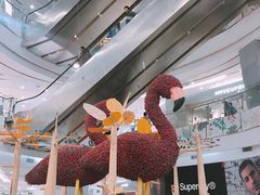 -凯德广场(学府店)