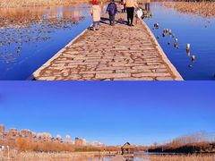 -前关湿地公园
