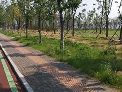 -砂之船奥特莱斯(合肥店)