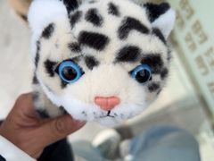 -青藏高原野生动物园