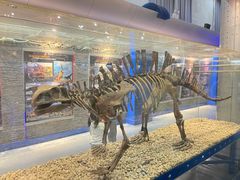 -国家自然博物馆