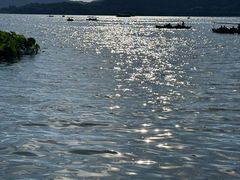 -西湖外事游船(湖滨二公园外事游船码头)