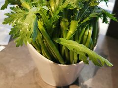皇帝菜-同仁四季椰子鸡(宝安壹方城店)
