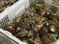 -仑头海鲜城(仑头环村南路店)