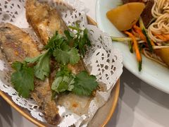 -财兜兜大黄山小馄饨