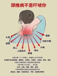 -希梵尔头皮抗衰·科技养发