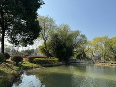 -白塔湖国家湿地公园