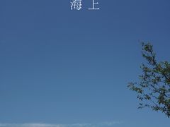 -花开海上生态园