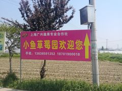 -小鱼草莓采摘园农家乐·小鱼餐厅