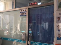 -邢大夫动物医院