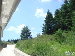 -白草畔自然风景区