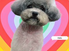 -Oh My Dog宠物沙龙(伊珊娜皮毛护理店)