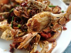 -张会海鲜饭店(东戴河店)