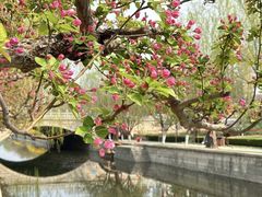 -元大都城垣遗址公园