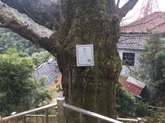 -藏龙百瀑漂流