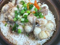 白鳝煲-兴记菜馆