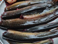 -铜元老码头鳝鱼火锅