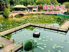 -广州莲花山旅游区