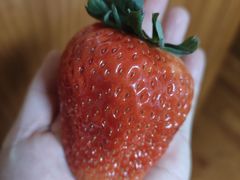 -淮扬楼(千鹤湖店)