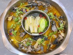 -黑河坝泡姜鸡贡椒鱼(贾旗路店)