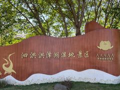 -泗洪洪泽湖湿地景区