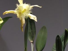 -北京植物园-展览温室