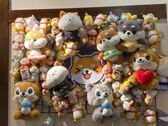 -逗柴咖啡屋·狗咖猫咖宠物桌游