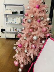 -Lab Season惜辰颜究社