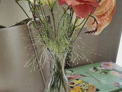 -Tomacado花厨(One ITC店)