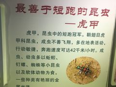 -上海昆虫博物馆