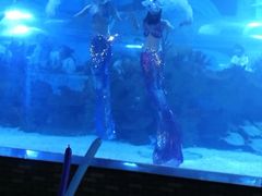 -成都浩海立方海洋公园