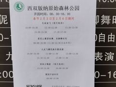 -西双版纳原始森林公园