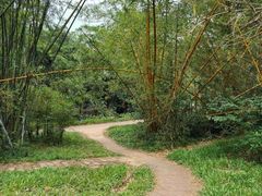 -金山植物公园