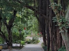 -乌山风景区