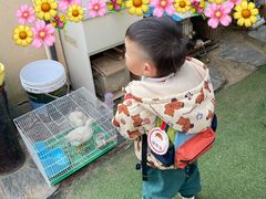 -蒙蒙狮蒙台梭利儿童之家
