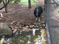 -费瑟代尔野生动物园