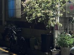 -安蒂娅·海鲜自助餐厅(安蒂娅美兰酒店)