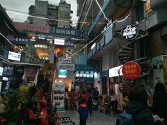 -猫咪博物馆(顶澳仔猫街店)