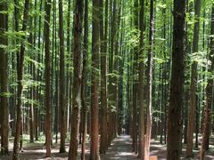 -山王坪喀斯特国家生态公园