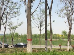 -洨河生态公园