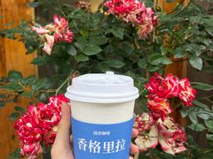 -漫香咖啡·云南小粒咖啡
