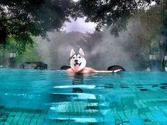 -灵秀温泉