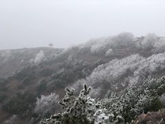 -阳台山自然风景区