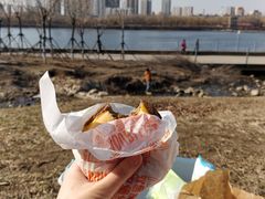 -长白岛森林公园