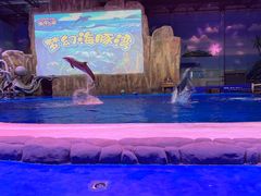 -华夏文旅海洋公园