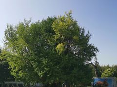 -终南山古楼观历史文化景区