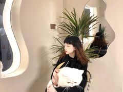 -More Fun猫咖 二十只万元加菲主题