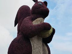 -野三坡百草畔景区