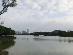 -顺峰山公园